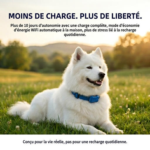 MyPetTracker™ Chien GP30 — Traceur GPS 4G Distance Illimitée